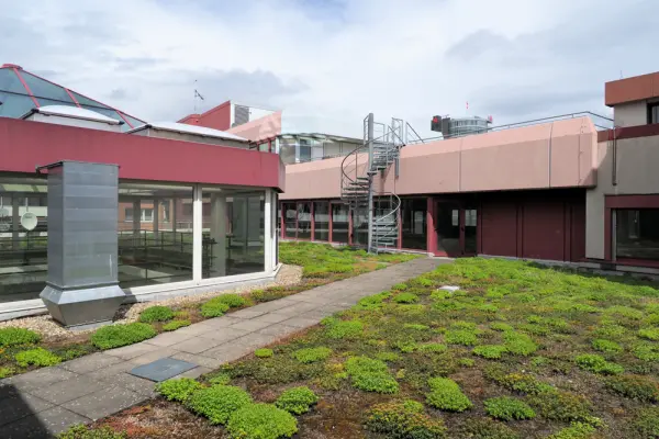 Begrünte Flächeder Immobilien: Provisionsfrei! Ideen verwirklichen - Bürofläche mit grüner Oase im Zentrum (Foto)