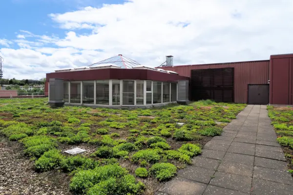 Begrünte Flächeder Immobilien: Provisionsfrei! Ideen verwirklichen - Bürofläche mit grüner Oase im Zentrum (Foto)