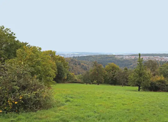 Impression 2der Immobilien: Wohnen auf einer Ebene – barrierearm, hell & ruhig in Engelsbrand (Foto)