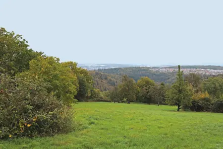 Impression 2der Immobilien: Letzte Gartenwohnung im Neubau – Gestalten Sie Ihr persönliches Traumzuhause (Foto)