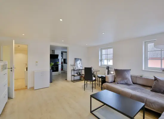 Wohnzimmerder Immobilien: Schöne Wohnung zum Träumen (Foto)