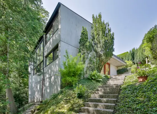 Außenansicht der Immobilie: Architektur trifft Natur – außergewöhnliches Zuhause in idyllischer Ortsrandlage mit Schlossblick! (Foto)