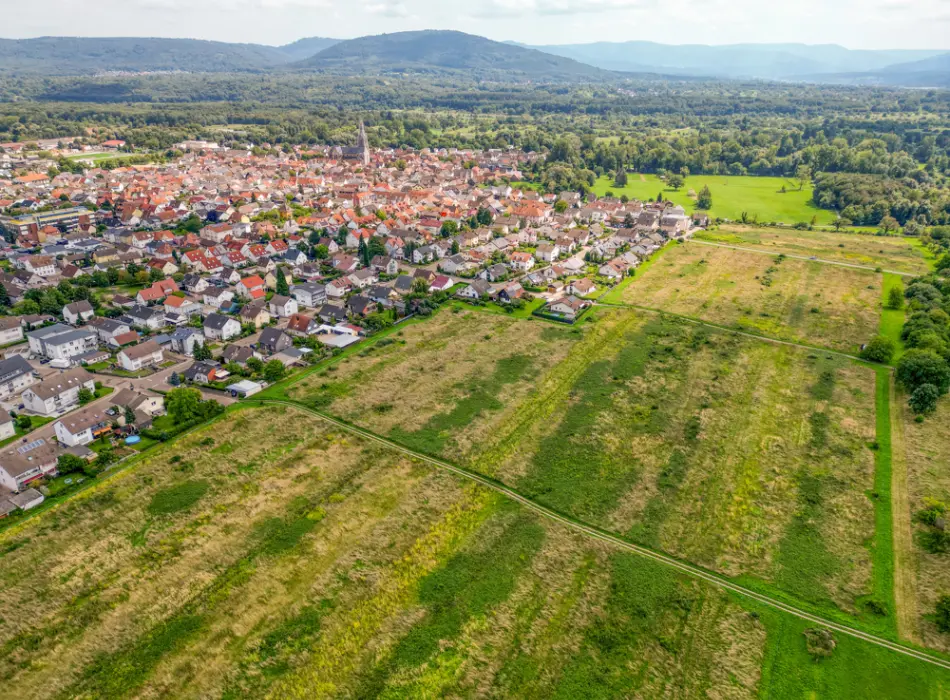 ansicht Neubaugebietder Immobilien: Doppelhaus oder Einfamilienhaus? Hier findet Ihr Wohntraum einen Platz. (Titelbild)