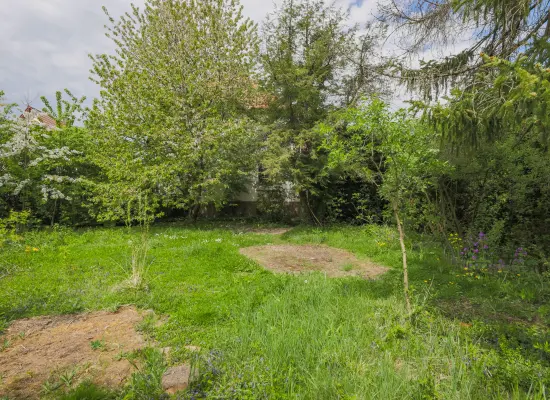 Gartender Immobilien: Stilvolle Villa in bester Lage (Foto)