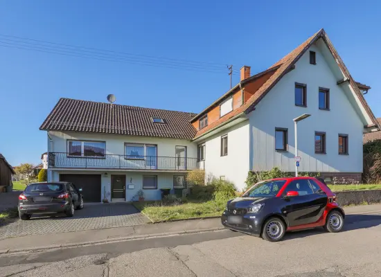 der Immobilien: Zwei Häuser auf großem Grundstück (Foto)