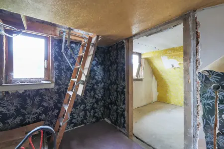 Zimmer DG
