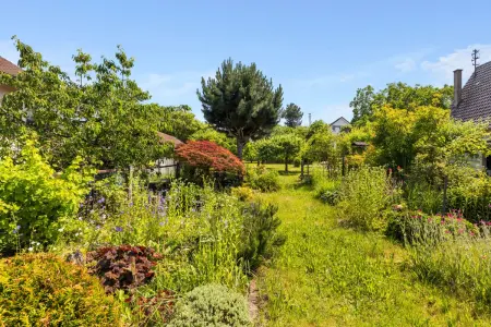 Garten hinterer Bereichder Immobilien: Wohnhaus mit Laden und Ausbaupotential (Foto)