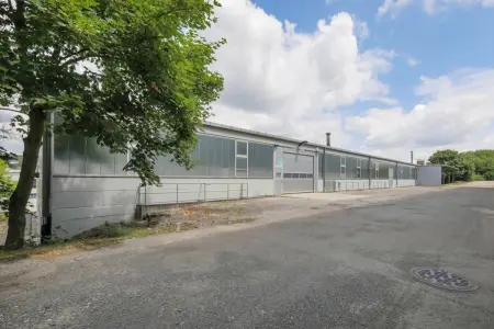 Rückansicht Zugang OGder Immobilien: Seltenes Angebot, flexible Gestaltungsmöglichkeiten! (Foto)