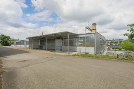 Rückansicht Zugang OGder Immobilien: Seltenes Angebot, flexible Gestaltungsmöglichkeiten! (Foto)