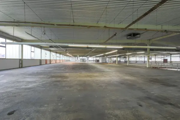 Gewerbefläche / Halle OG