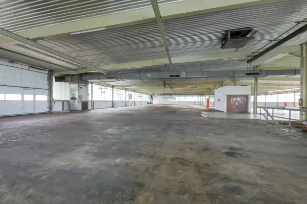 Gewerbefläche / Halle OG
