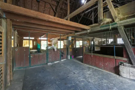 Hausstall/ Paddock-Boxen