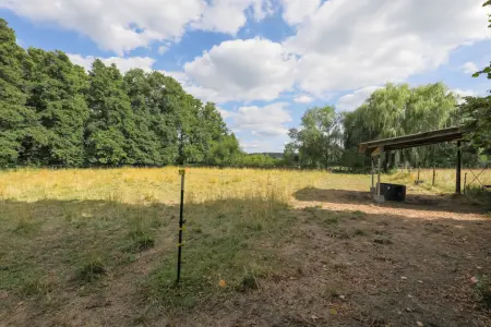Hausstall Weide