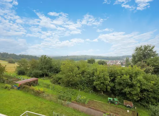 Ausblick Wohnbereich der Immobilie: Moderne Loftwohnung - Naturnah und hyggelig! (Foto)
