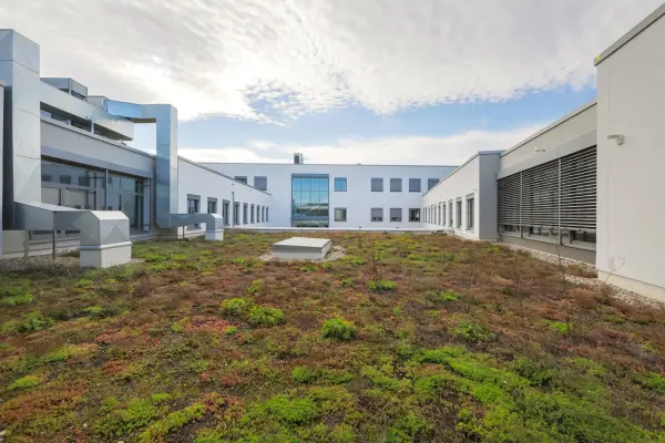 Begrüntes Dach Innenbereich der Immobilie: Ideale Büroimmobilie mit modernster Ausstattung und flexibler Gestaltung! (Foto)