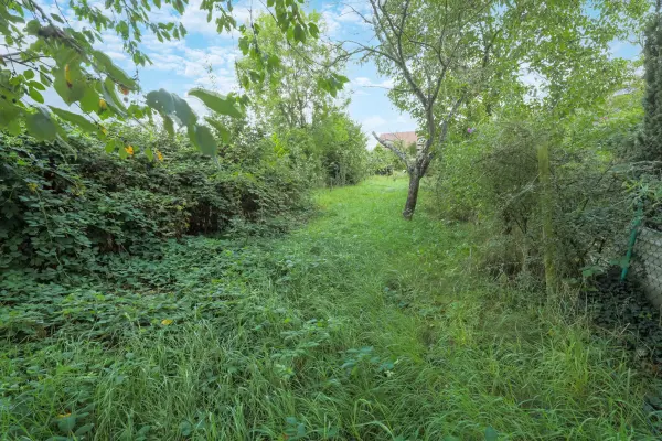 Grundstück der Immobilie: Attraktives Baugrundstück in ruhiger Wohnlage (Foto)