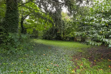 Garten der Immobilie: Eine gute Adresse für Ihr Geld (Foto)