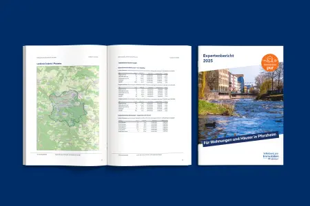 Vorschaubild des Expertenberichts Pforzheim 2025