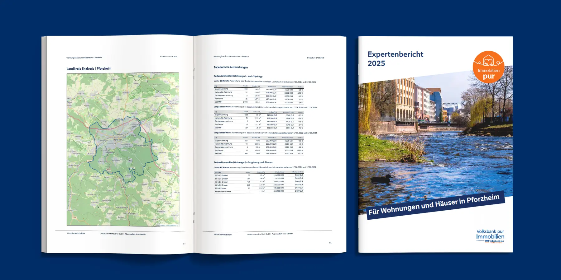 Vorschaubild des Expertenberichts Pforzheim 2025