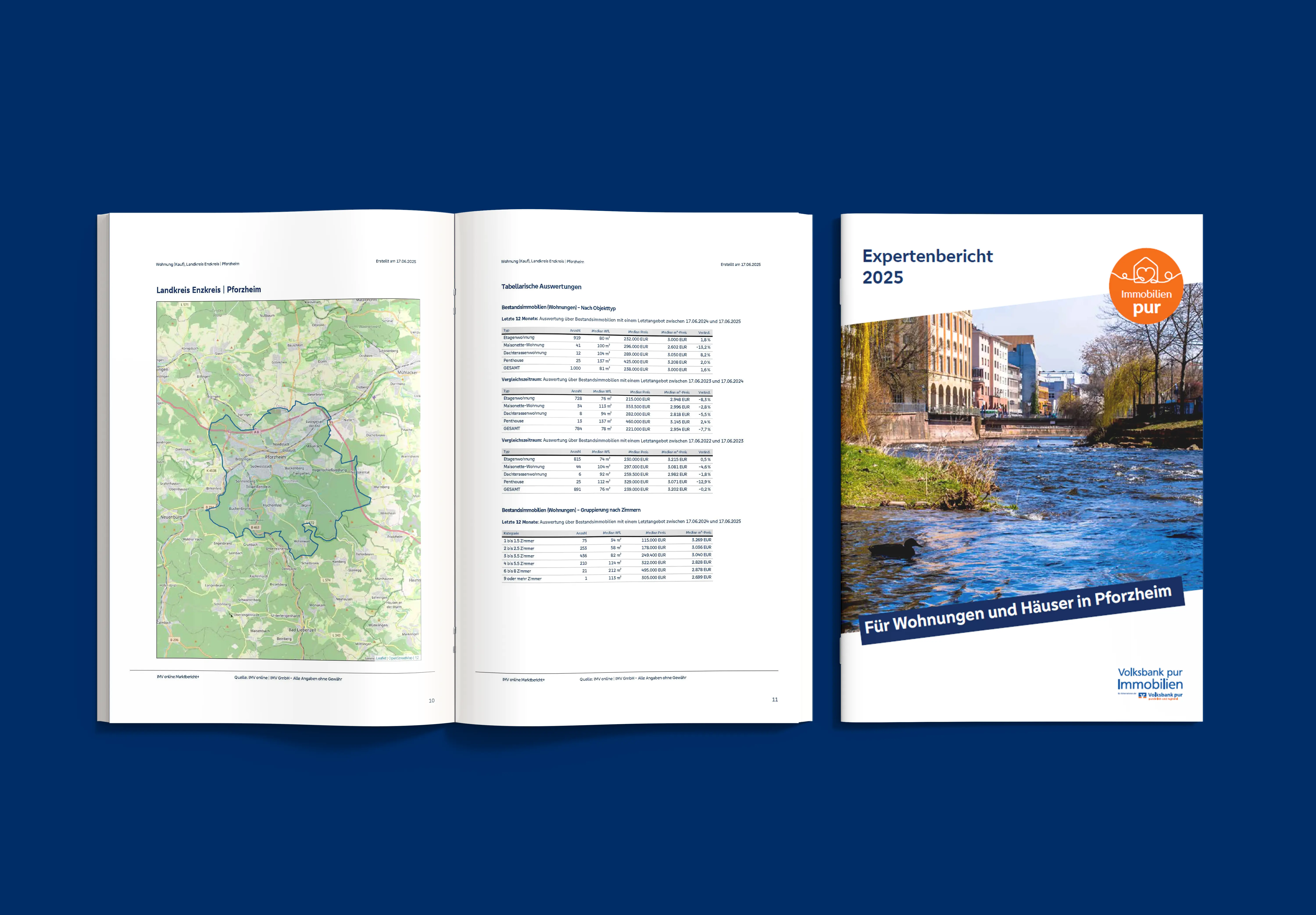 Vorschaubild des Expertenberichts Pforzheim 2025